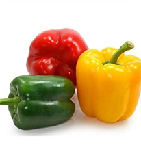 Bell Pepper